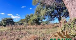 FOR SALE | Livingstone 6 Acres Land