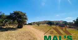 FOR SALE | Shimabala Three Bedroomed House On 7 Acres