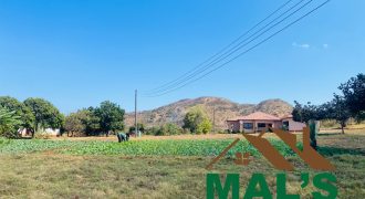 FOR SALE | Shimabala Three Bedroomed House On 7 Acres
