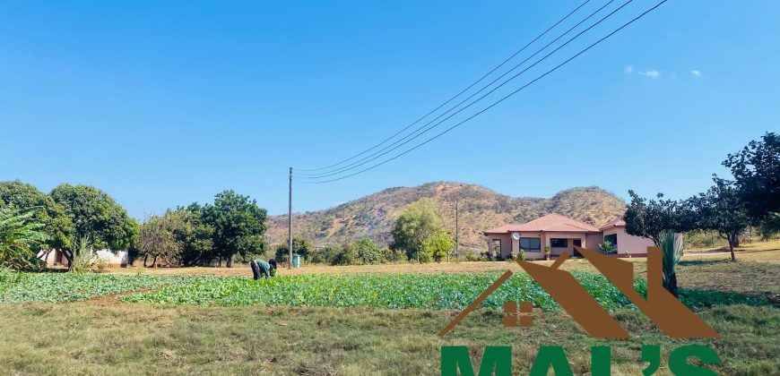 FOR SALE | Shimabala Three Bedroomed House On 7 Acres