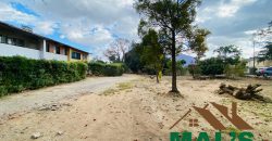 FOR SALE | Rhodes Park Block Of Four-Two Bedroomed Flats On 3,008m² Plot