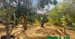 FOR SALE | Makeni 70/70 Road 4.9 Acres Prime Property