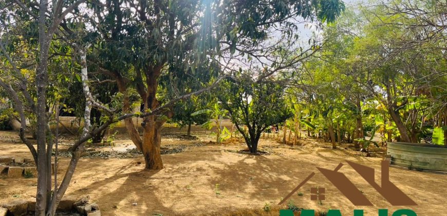 FOR SALE | Makeni 70/70 Road 4.9 Acres Prime Property