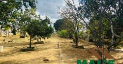 FOR SALE | Makeni 70/70 Road 4.9 Acres Prime Property