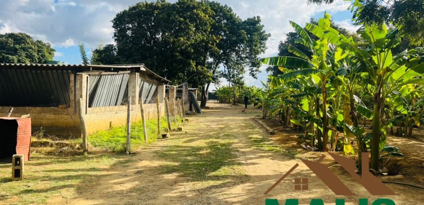 FOR SALE | Makeni 70/70 Road 4.9 Acres Prime Property