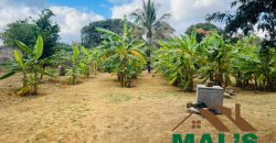 FOR SALE | Makeni 70/70 Road 4.9 Acres Prime Property