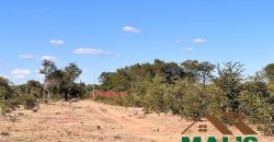 FOR SALE | Livingstone 6 Acres Land