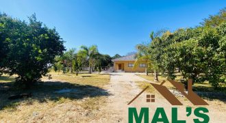 FOR SALE | Chamba Valley Farm House Sitting On 4.9 Acres Land