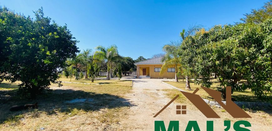 FOR SALE | Chamba Valley Farm House Sitting On 4.9 Acres Land