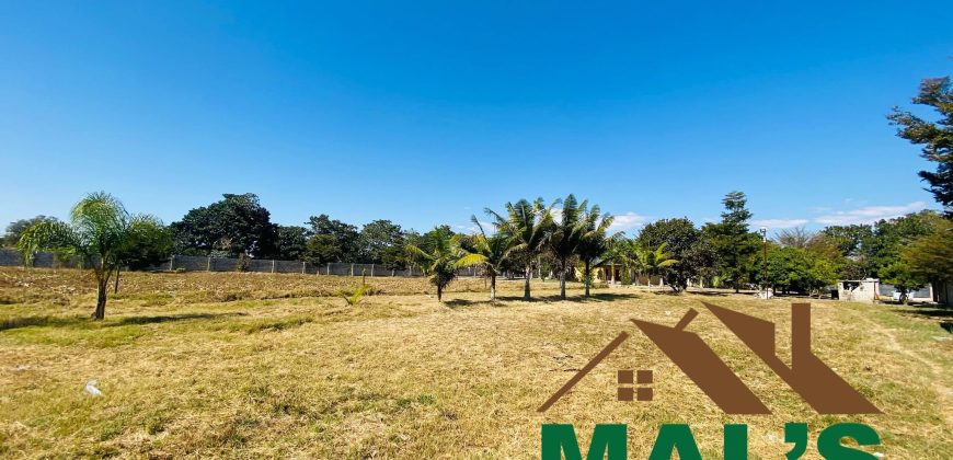 FOR SALE | Chamba Valley Farm House Sitting On 4.9 Acres Land