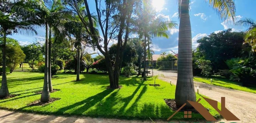 FOR SALE | New Kasama 2 Houses On 5 Acres Plot
