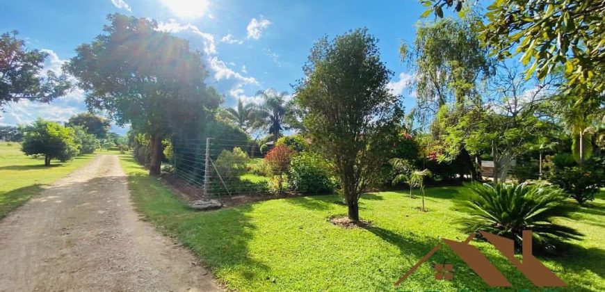 FOR SALE | New Kasama 2 Houses On 5 Acres Plot