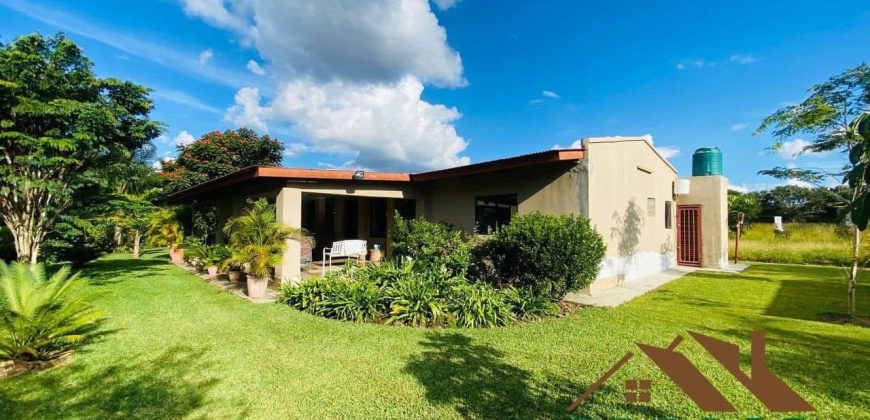 FOR SALE | New Kasama 2 Houses On 5 Acres Plot