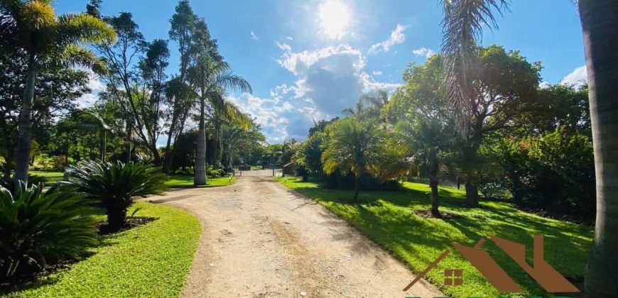 FOR SALE | New Kasama 2 Houses On 5 Acres Plot