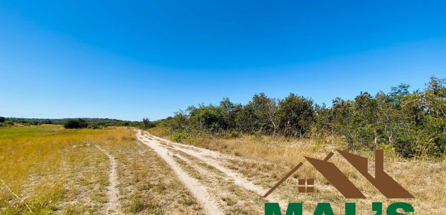 FOR SALE | Chaminuka Kasenga 37.4 Acres Land