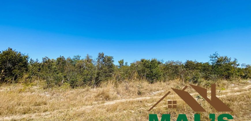 FOR SALE | Chaminuka Kasenga 37.4 Acres Land