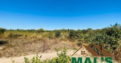 FOR SALE | Chaminuka Kasenga 37.4 Acres Land