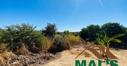 FOR SALE | Chaminuka Kasenga 37.4 Acres Land