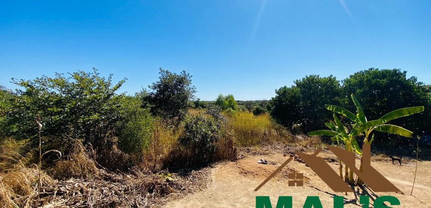 FOR SALE | Chaminuka Kasenga 37.4 Acres Land