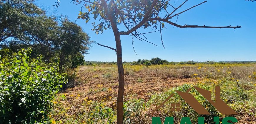 FOR SALE | Chaminuka Kasenga 37.4 Acres Land