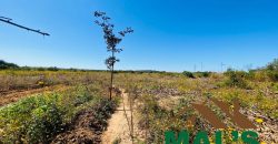 FOR SALE | Chaminuka Kasenga 37.4 Acres Land