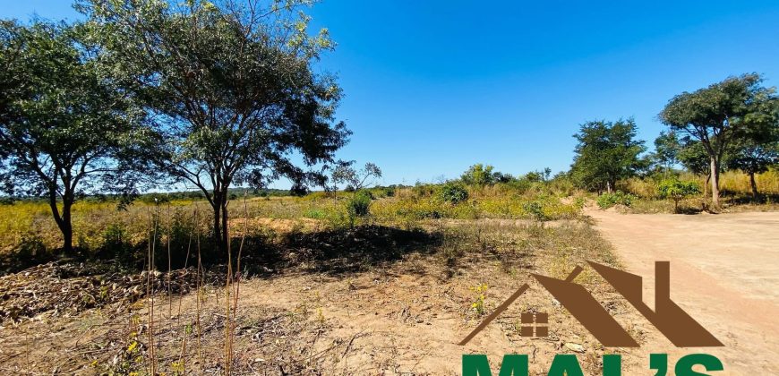 FOR SALE | Chaminuka Kasenga 37.4 Acres Land