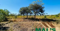 FOR SALE | Chaminuka Kasenga 37.4 Acres Land