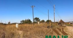 FOR SALE | 21 Miles Great North Road Frontage 43.52 Acres Bare Land
