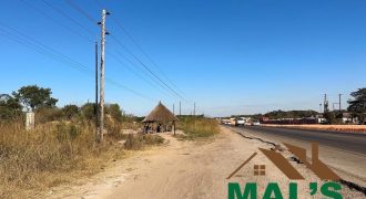 FOR SALE | 21 Miles Great North Road Frontage 43.52 Acres Bare Land