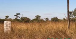 FOR SALE | 21 Miles Great North Road Frontage 43.52 Acres Bare Land