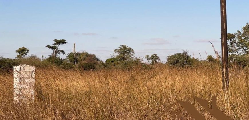 FOR SALE | 21 Miles Great North Road Frontage 43.52 Acres Bare Land