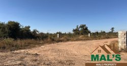 FOR SALE | 21 Miles Great North Road Frontage 43.52 Acres Bare Land