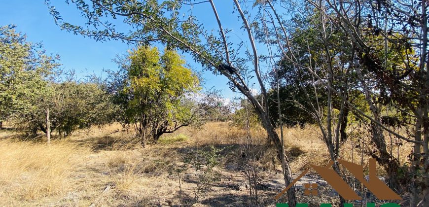 FOR SALE | Lusaka West 6 Acres Property
