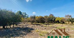 FOR SALE | Lusaka West 6 Acres Property