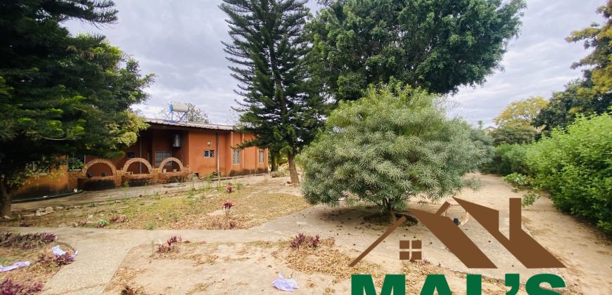FOR SALE | Ibex Hill 2.47 Acres Property