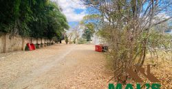 FOR SALE | Rhodes Park 6,700m² Prime Property
