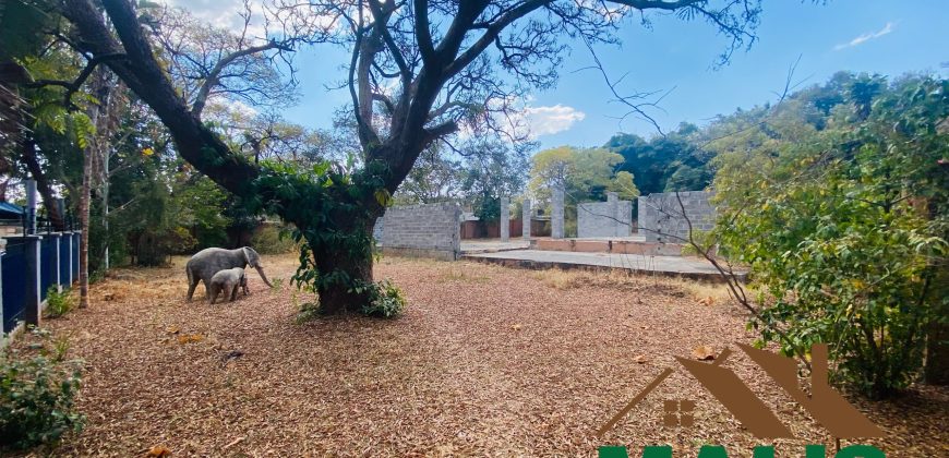 FOR SALE | Rhodes Park 6,700m² Prime Property