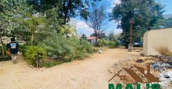 FOR SALE | Rhodes Park 6,700m² Prime Property