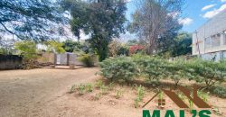 FOR SALE | Rhodes Park 6,700m² Prime Property