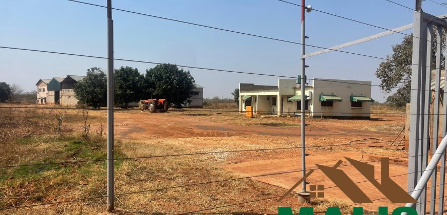 FOR SALE | Lusaka West Prime Farm Property–72.11 Acres 🌾