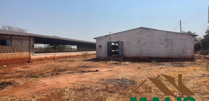 FOR SALE | Lusaka West Prime Farm Property–72.11 Acres 🌾