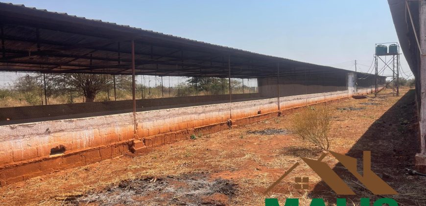 FOR SALE | Lusaka West Prime Farm Property–72.11 Acres 🌾