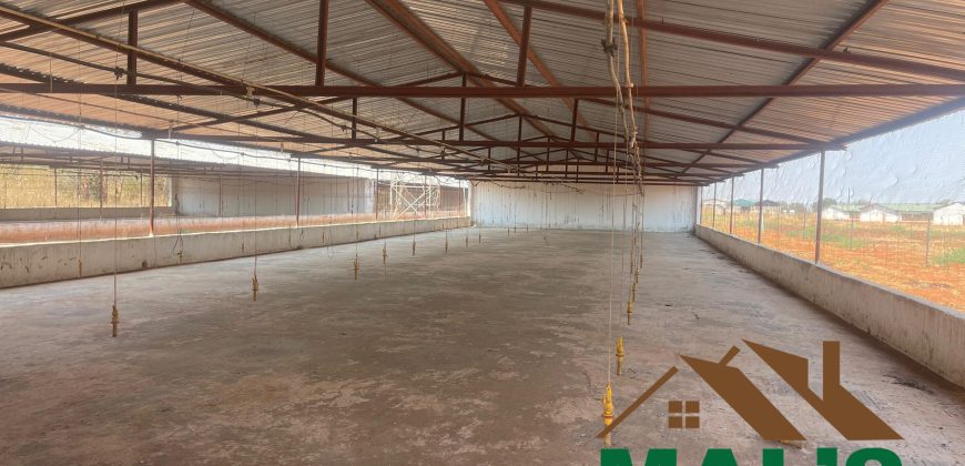 FOR SALE | Lusaka West Prime Farm Property–72.11 Acres 🌾