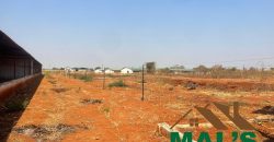 FOR SALE | Lusaka West Prime Farm Property–72.11 Acres 🌾