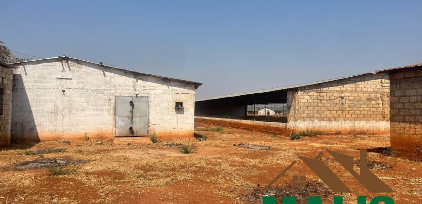 FOR SALE | Lusaka West Prime Farm Property–72.11 Acres 🌾