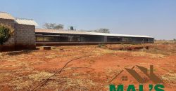 FOR SALE | Lusaka West Prime Farm Property–72.11 Acres 🌾