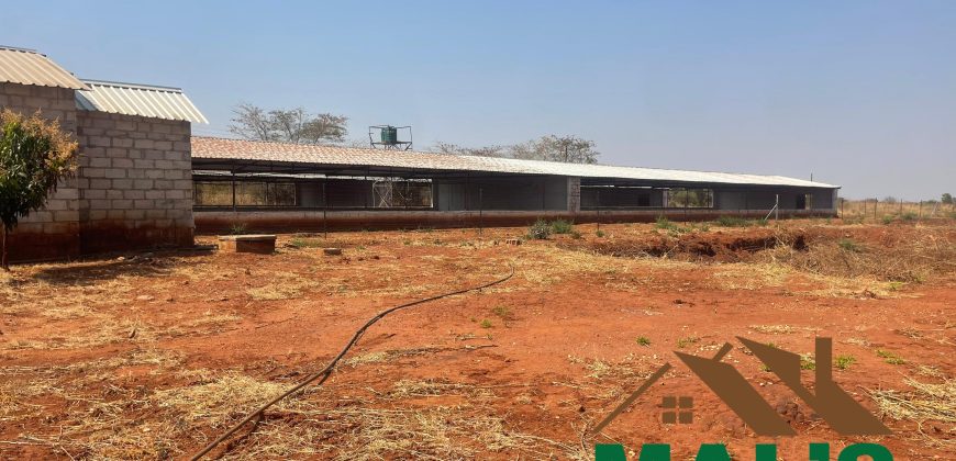 FOR SALE | Lusaka West Prime Farm Property–72.11 Acres 🌾