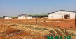 FOR SALE | Lusaka West Prime Farm Property–72.11 Acres 🌾
