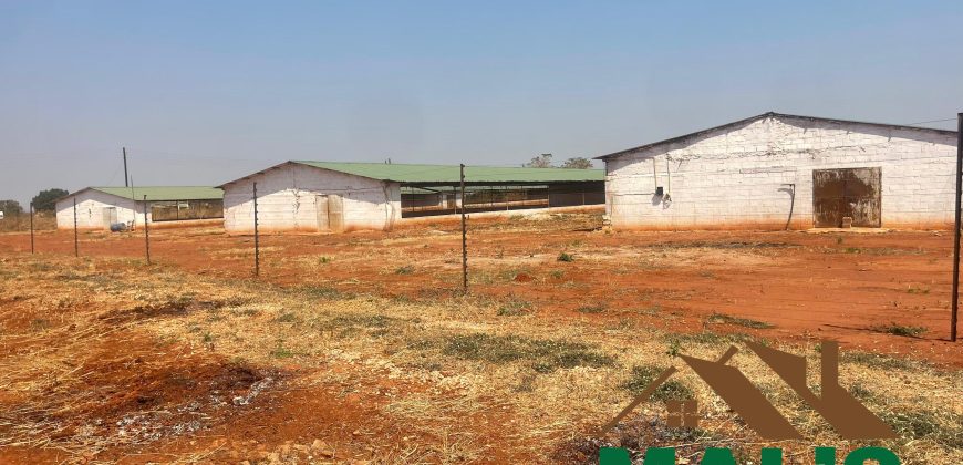 FOR SALE | Lusaka West Prime Farm Property–72.11 Acres 🌾