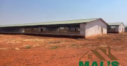 FOR SALE | Lusaka West Prime Farm Property–72.11 Acres 🌾